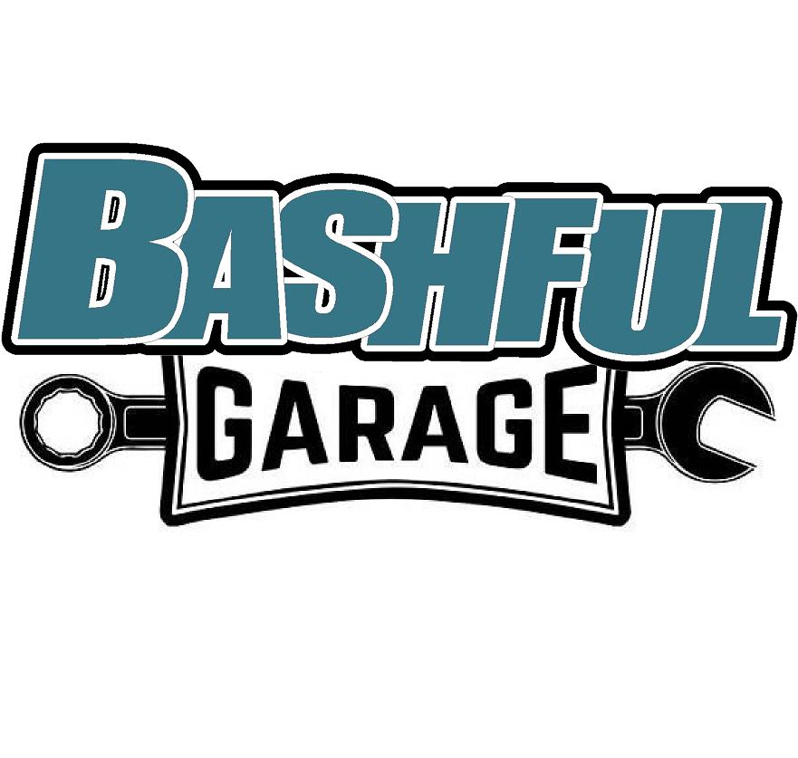 Bashful Garage "The Stakes are High" Hoodie