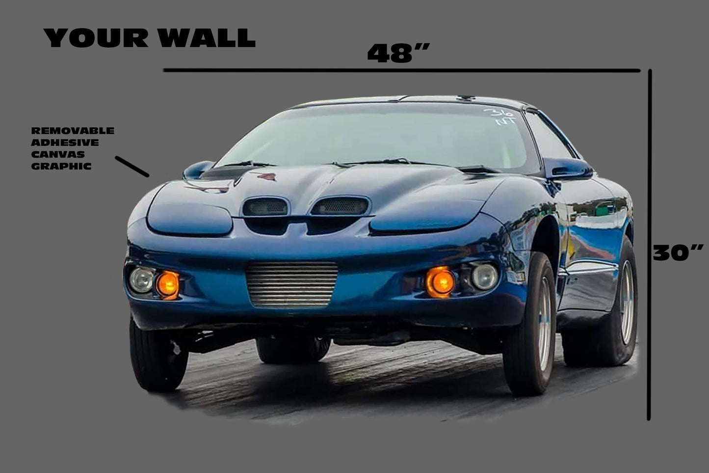 CarHeads - Custom Car Wall Graphic