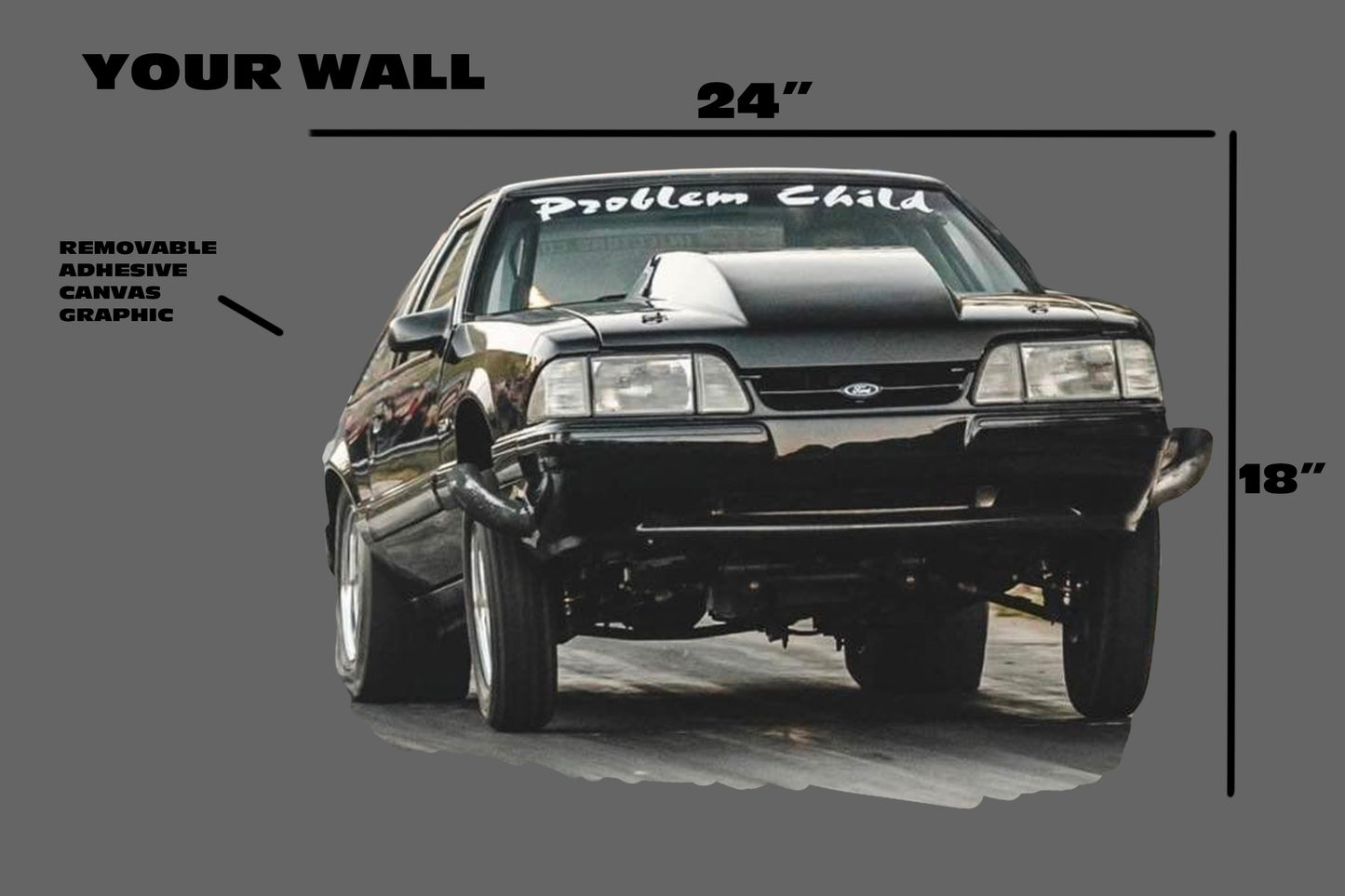 CarHeads - Custom Car Wall Graphic